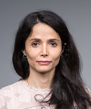 Professor Fatemeh Nargesian